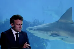 Golpeado por "tristeza poselectoral", Emmanuel Macron está cansado, deprimido y ausente