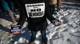 Qué son las salmoneras, qué efectos tienen en el ecosistema y por qué se prohibieron