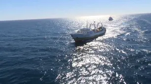 Una flota fantasma depreda el Mar Argentino