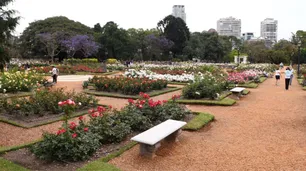 Una profesora de yoga denunció que fue acosada mientras meditaba en los bosques de Palermo