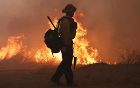 "Mountain", el voraz incendio en California que arrasó viviendas y obligó a miles de evacuaciones