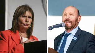 Fuerte cruce entre Patricia Bullrich y Gildo Insfrán: hasta la UCeDe salió a responderle al formoseño