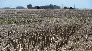 El agro preocupado por un pronóstico primaveral adverso con temperaturas altas y escasas lluvias