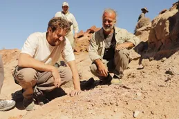 Paleontólogos encontraron en la estepa de Río Negro restos de un nuevo, y pequeño, dinosaurio argentino