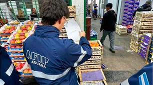 La importación de alimentos está en línea de largada