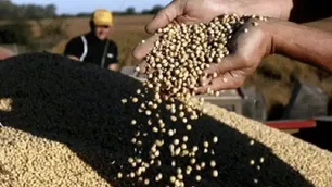 Por un campo sin lastre
