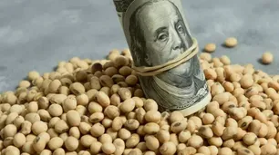 Las consecuencias de reducir las retenciones: “Genera muchos descalabros en la cadena propia del agro”