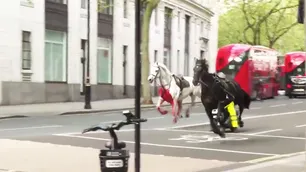 Dos caballos del ejército británico se escaparon en el centro de Londres e hirieron a cuatro personas