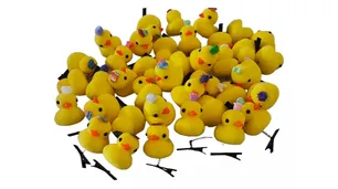 La historia detrás de los Patitos Kawai ¿Cuánto cuestan estos llamativos accesorios?