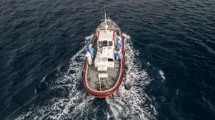 Hantavirus en un crucero: por qué los infectólogos consideran “marginal” la transmisión entre personas