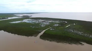 Cuales son los nombres que los vecinos eligieron para las islas nuevas en San Isidro
