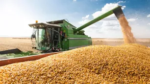 La Bolsa de Rosario lanzó un nuevo termómetro mensual de toda la cadena agropecuaria