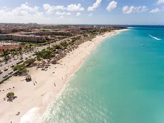 Aruba se mudó a Pinamar