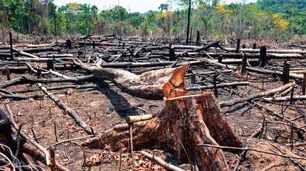 Amazonía bajo ataque