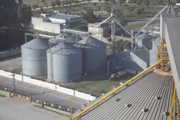 La industria aceitera rechaza el aumento de retenciones a la soja
