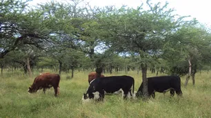 Las comunidades rurales custodian la biodiversidad de los paisajes agrícolas