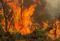 Chubut: los incendios podrían haber empezado por rayos