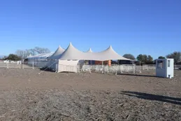 Córdoba: desarticularon una fiesta electrónica clandestina con más de 5 mil personas