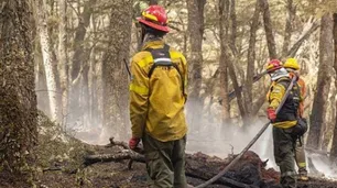 Incendio forestal en Tierra del Fuego: hay focos activos y más de 1500 hectáreas afectadas
