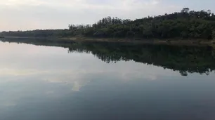 Bajante del Paraná: declaran la emergencia hídrica para el Delta bonaerense