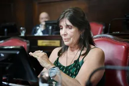 Teresa García: "Lo del PRO y LLA parece un sainete criollo"