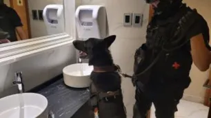 San Francisco: incautaron extásis, ketamina, cocaína y marihuana en una fiesta electrónica