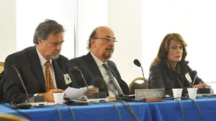 Escraches y cruces con Hebe de Bonafini: la causa que llevó Magdalena Ruiz Guiñazú a la OEA con otros periodistas