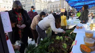 Verdurazo: dónde comprar vegetales a precios bajos este martes en la Ciudad