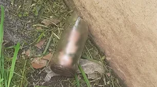 Balcarce: un jardinero encontró un pene en un frasco cuando fue a cortar el pasto a una casa