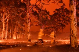 30 imágenes impactantes de los feroces incendios que azotan a Australia