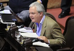Pinedo quiere develar el misterio de Timerman