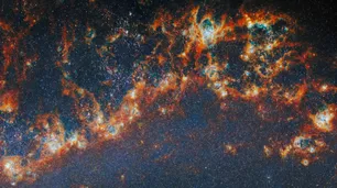 Los telescopios James Webb y Hubble de la NASA revelaron el secreto oculto de 9.000 estrellas