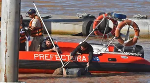 Fue a bailar y lo encontraron muerto en el río Paraná