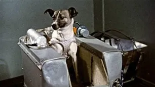 La historia de Laika, la perrita rusa, lanzada en el satélite ruso Sputnik 2
