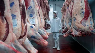 Exportaciones de carne: el gobierno oficializó nuevo registro para analizar precios de referencia