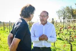 "Vino Buenos Aires": el documental que celebra la vitivinicultura bonaerense ya se emite por Telefe
