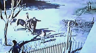 Impactante video | Un nene de 12 años a caballo atropelló a dos mujeres y una está en coma
