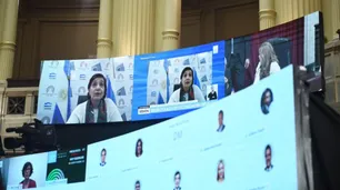 El Senado debate en comisión el proyecto sobre el canje de deuda local
