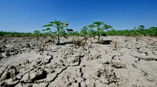 La ONU alertó que el mundo se encamina a un calentamiento de 2,6 °C en este siglo