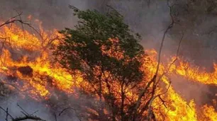 Villalonga sobre los incendios en el país: "Esto se va a repetir sistemáticamente"