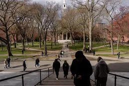 Donald Trump volvió a atacar a la Universidad de Harvard: “Desastre liberal”
