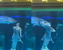 Video: así fue el ataque de un pez a una bailarina en pleno show