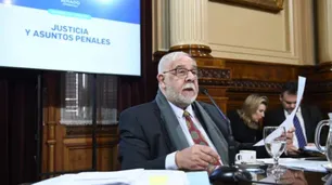 El Senado retoma el debate en torno a las penas por sustracción de menores