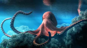 Los pulpos dominarían la Tierra si se extingue la humanidad, dicen científicos: "Podrían evolucionar hasta crear una civilización"