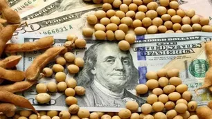 Denuncian falta de claridad en los anuncios de un nuevo dólar soja