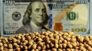 Baja de retenciones: efectos en precios, recaudación y ventas pendientes, según la Bolsa de Rosario