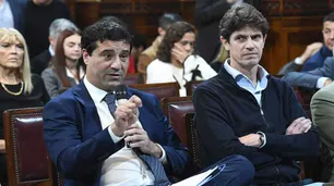 "Lousteau va a acompañar la Ley Bases en general": Abad dio pistas sobre la votación del radicalismo