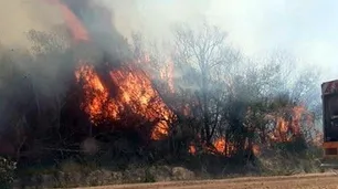 Corrientes: alarmantes incendios intencionales en Esteros del Iberá