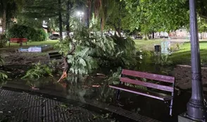 Temporal en Villa Dolores: árboles caídos y calles anegadas por la tormenta