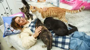 Cómo funciona el primer “Gato Café” porteño que abrió sus puertas en el barrio del Abasto